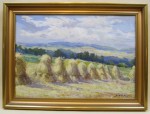 IMG_0531
