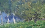 IMG_15f